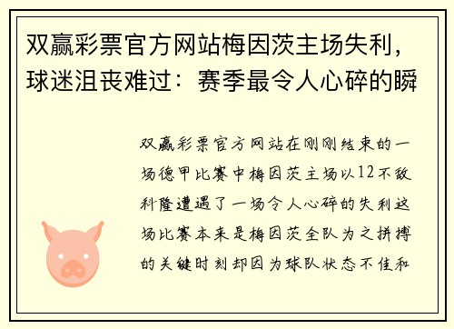 双赢彩票官方网站梅因茨主场失利，球迷沮丧难过：赛季最令人心碎的瞬间 - 副本