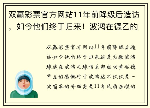 双赢彩票官方网站11年前降级后造访，如今他们终于归来！波鸿在德乙的11年 - 副本 (2)