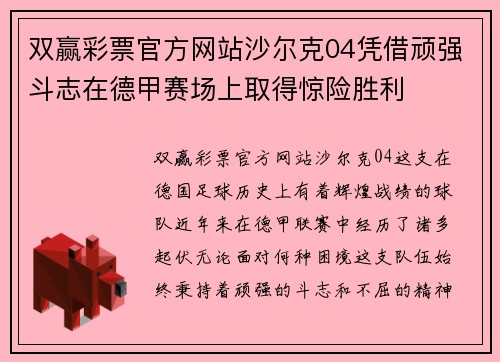 双赢彩票官方网站沙尔克04凭借顽强斗志在德甲赛场上取得惊险胜利