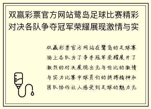 双赢彩票官方网站鹭岛足球比赛精彩对决各队争夺冠军荣耀展现激情与实力