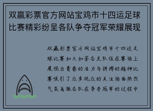 双赢彩票官方网站宝鸡市十四运足球比赛精彩纷呈各队争夺冠军荣耀展现青春风采